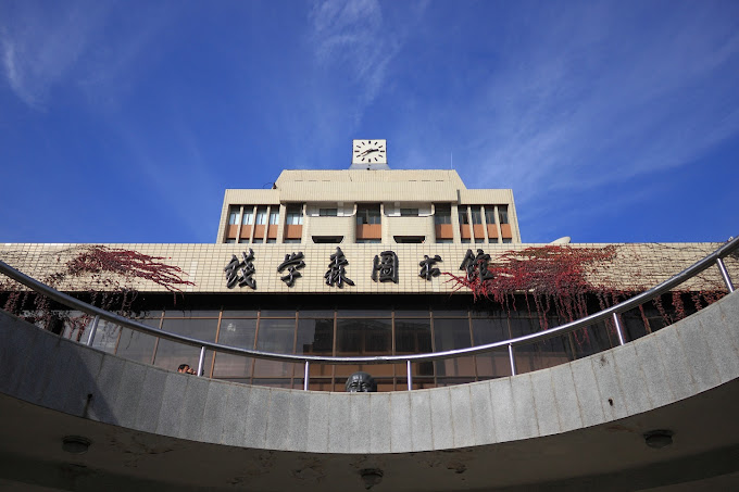 This is a sample image of a chinese university.